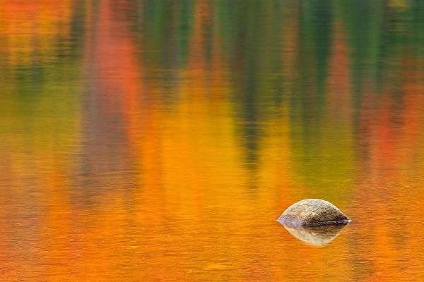 Canada-Quebec-La Mauricie National Park Rock and autumn colors reflected in Lac Wapizagonke